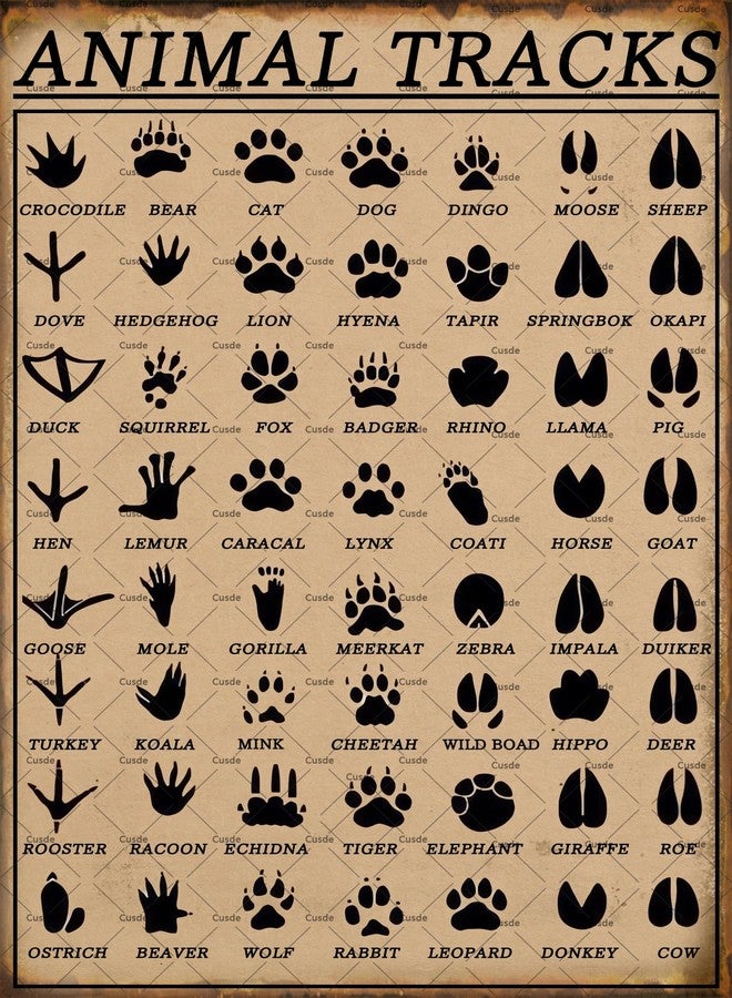Cusde Animal Tracks Sign Vintage Nursery Metal Tin Sign Funny Hunting Decor Cabin Decor Gifts For Animal Lovers 8x12 Inch - Image 1